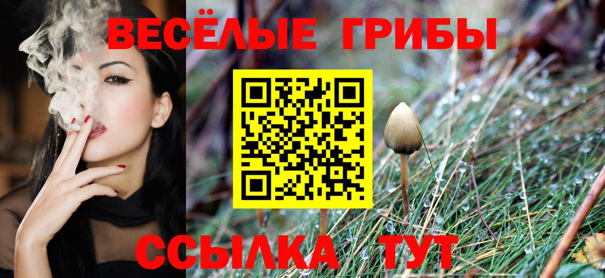 Псилоцибиновые грибы мухоморы Камышин