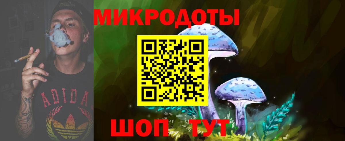 Галлюциногенные грибы MAGIC MUSHROOMS  Вход с VPN  Камышин 
